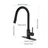 Pull Down Sprayer Kitchen Faucet