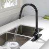 Pull Down Sprayer Kitchen Faucet